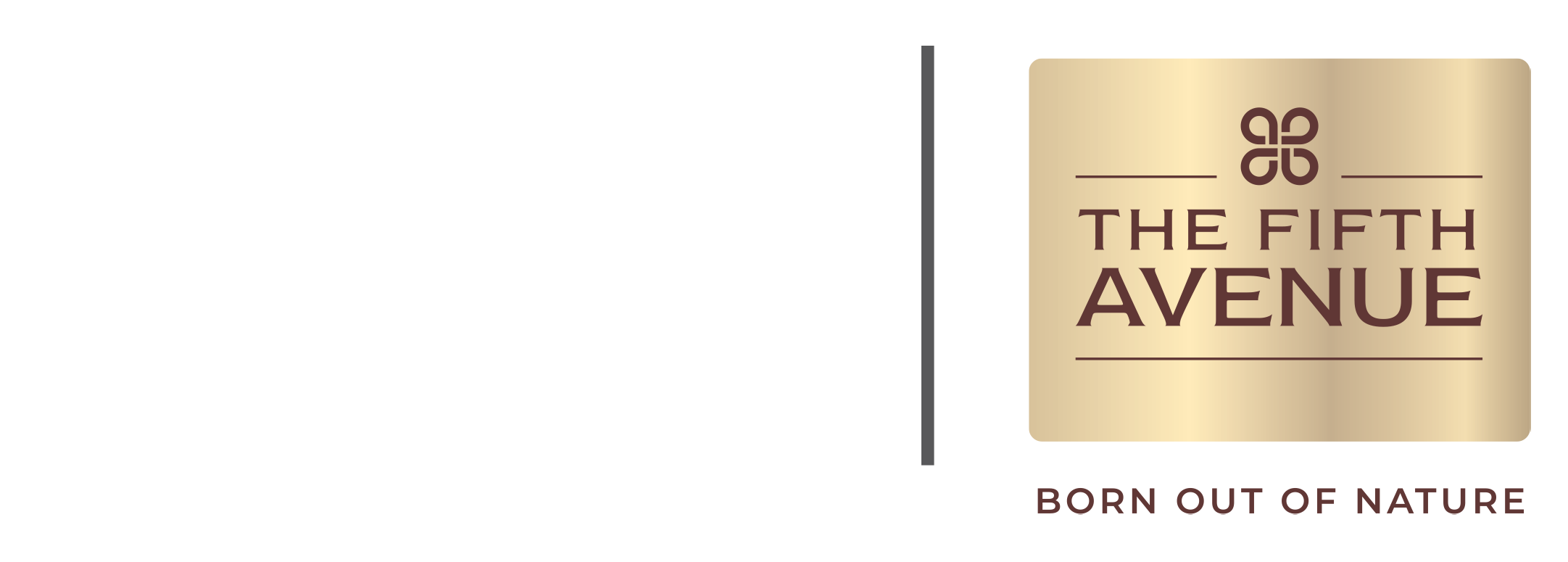 Fifth Avenue by Abba Builders